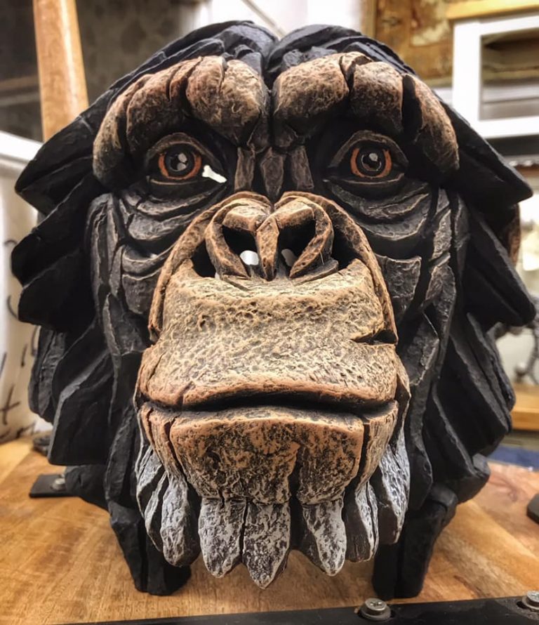 Romney Marsh Carpets Kent Wooden Chimp Head